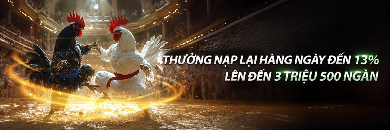 Trực tiếp đá gà C3 15 5 tại 188v